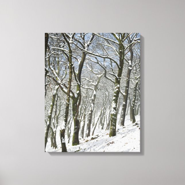 Lienzo Tarjeta de invierno Macclesfield Forest (Anverso)