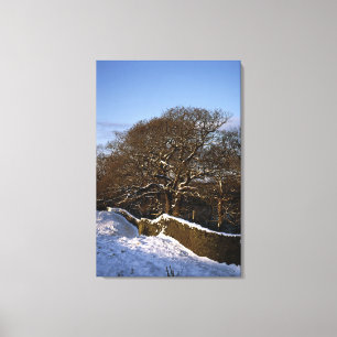Lienzo Tarjeta de vacaciones de Winter Tree Lyme Handley
