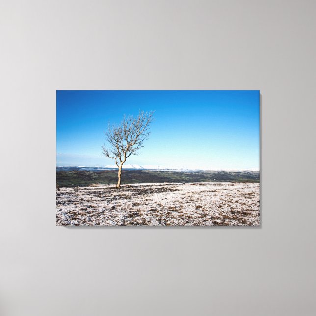 Lienzo Tarjeta de vacaciones Scout Scar (Anverso)