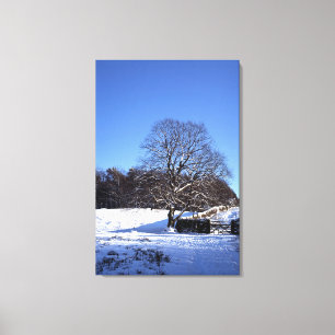 Lienzo Tarjeta de vacaciones Winter Tree Lyme Park