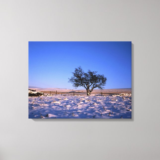 Lienzo Tarjeta de vacaciones Winthorn Tree (Anverso)