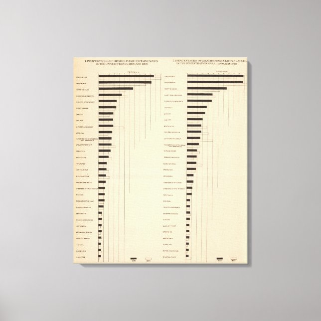 Lienzo Tasas de mortalidad, causas 1900, 1890 (Anverso)