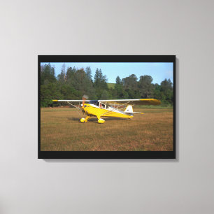 Lienzo Taylorcraft, BC-12, aviación 1941_Classic