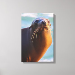 Lienzo ¿Te Entriste, hermano?