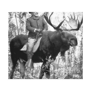 Lienzo Teddy Roosevelt Montando Un Moose De Toro