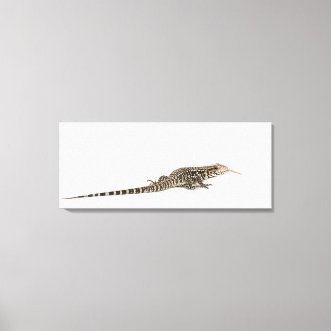 Lienzo Tegu azul - Tupinambis merianae (Anverso)