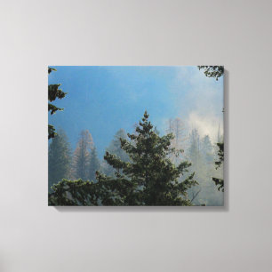 Lienzo Tejidos envueltos