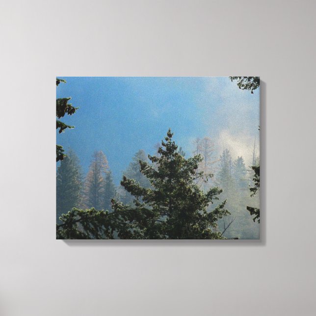 Lienzo Tejidos envueltos (Anverso)