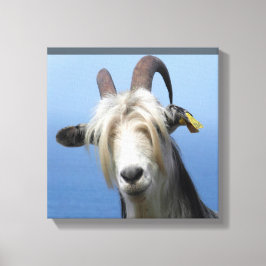 Lienzo Tela cabra