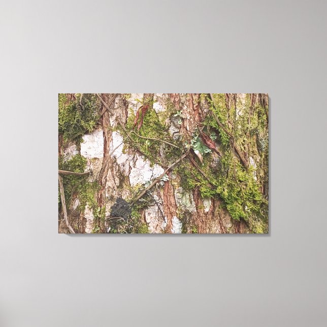 LIENZO TELA CANVAS QUADRO DECORAÇÃO NATUREZA ÁRVORE NOVO  (Anverso)