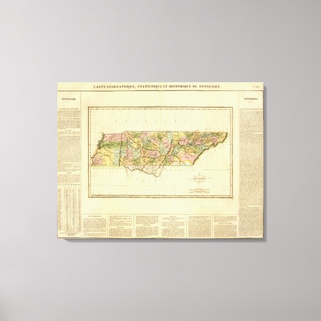 Lienzo Tennessee US (Anverso)
