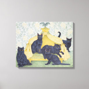 Lienzo terciopelo negro