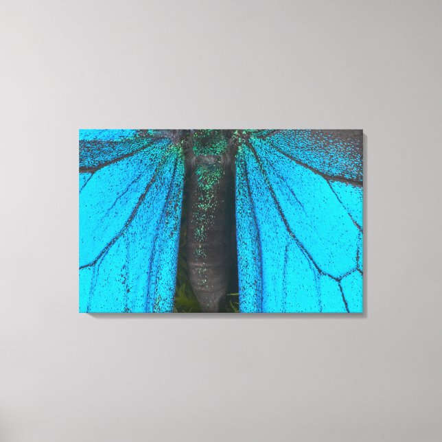 Lienzo Ternera de montaña azul (ulisis de Papilio) (Anverso)