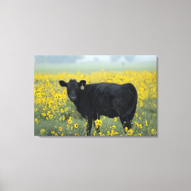 Lienzo Ternero negro en un campo de girasoles (Anverso)