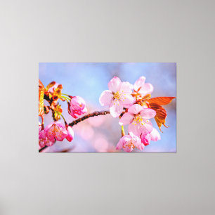 Lienzo Ternura Impresionante De Las Flores De Sakura En P