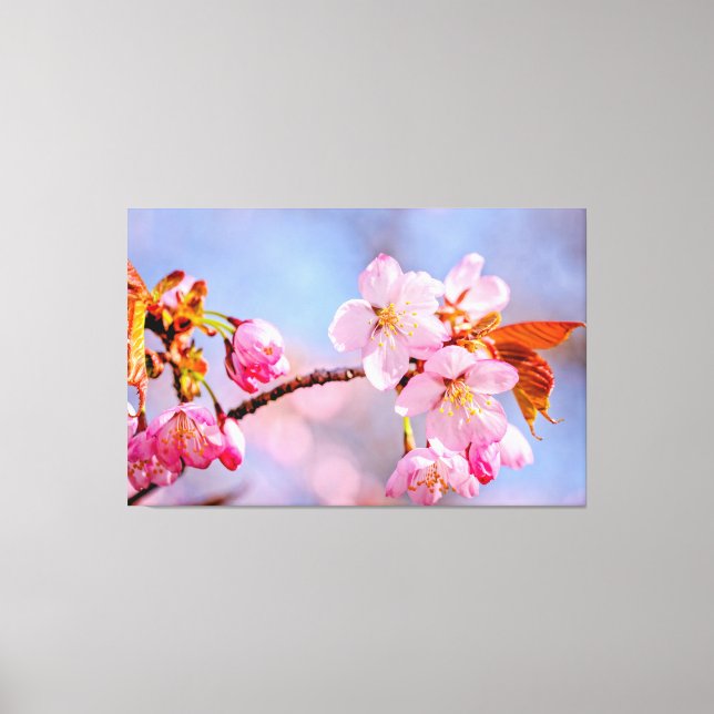 Lienzo Ternura Impresionante De Las Flores De Sakura En P (Anverso)