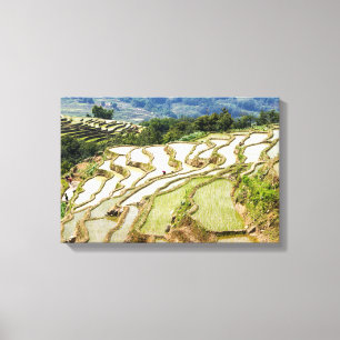 Lienzo Terrazas de arroz famosas de Yuanyang - Yunnan, Ch