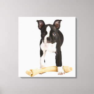 Lienzo Terrier de Boston que guarda el hueso twisty