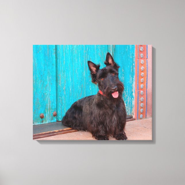 Lienzo Terrier escocés sentado junto a una puerta colorid (Anverso)