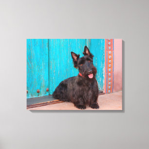 Lienzo Terrier escocés sentado junto a una puerta colorid