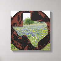Texas Bluebonnets