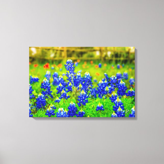 Lienzo Texas Bluebonnets Field Rustic Blue Wildflowers (Anverso)