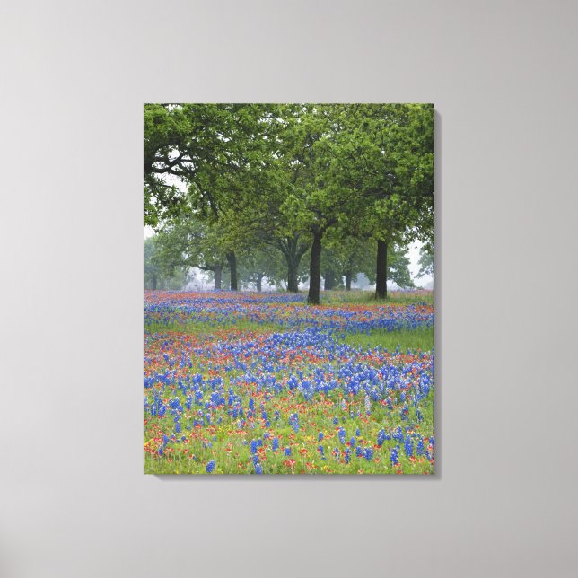 Lienzo Texas, Texas Hill Country, Texas Paintcel y (Anverso)