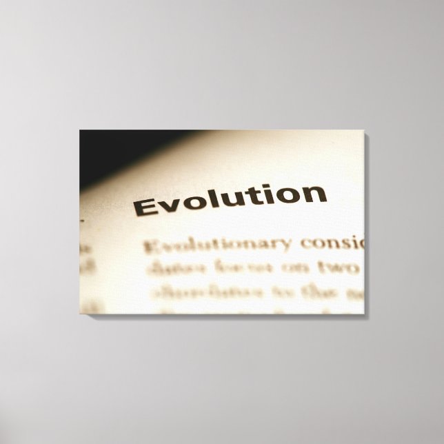 Lienzo Texto de evolución en la página (Anverso)