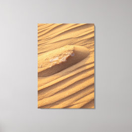 Lienzo Textura Orgánica de Ondulaciones de Arenisca del D