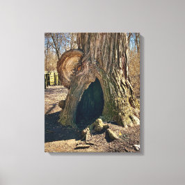 Lienzo The Curious Hollow 16x20 is not a text that requir