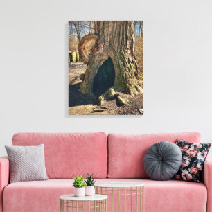 Lienzo The Curious Hollow 16x20 is not a text that requir