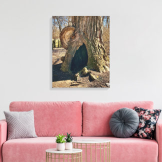 Lienzo The Curious Hollow 16x20 is not a text that requir