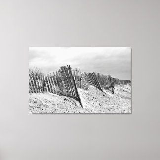 Lienzo The Dune Fence Canvas Print