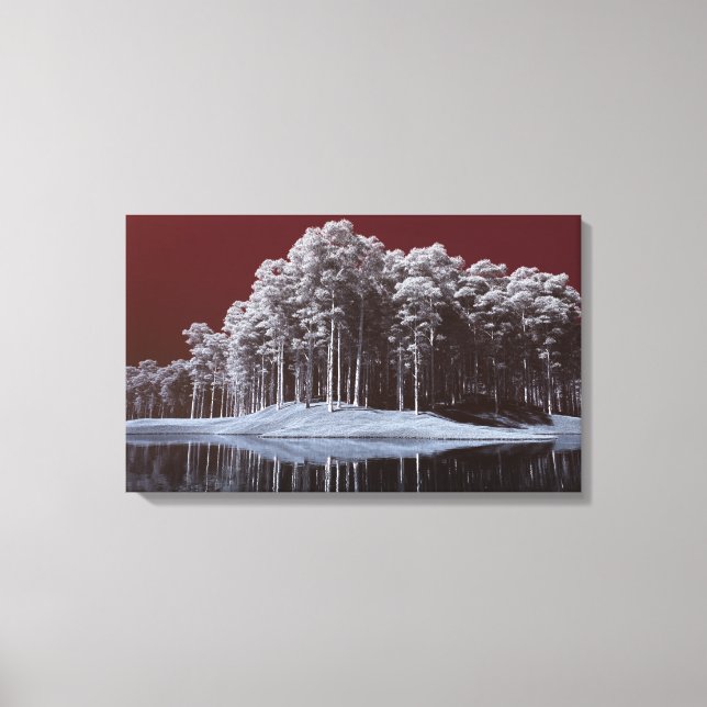 Lienzo The White Woods Canvas Print (Anverso)