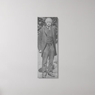 Lienzo Thomas Hardy