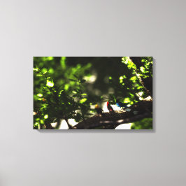 Lienzo Three Little Birds