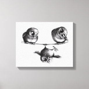 Lienzo Three Owls - Freedom and Fun