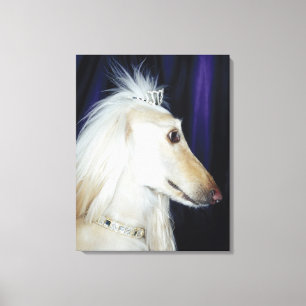 Lienzo Tiara que lleva del afgano