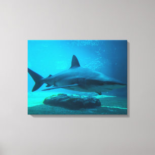 Lienzo Tiburón Dusky (Carcharhinus Obscurus), Ushaka
