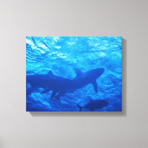 Lienzo Tiburones en el agujero azul