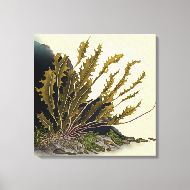 Lienzo Tidal Fronds (Anverso)