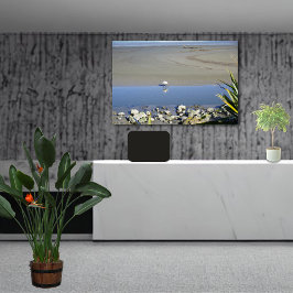 Lienzo Tiempo de alimentación para la monarca real