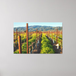 Lienzo Tiempo de primavera en un viñedo