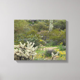 Lienzo Tiempos de primavera en la fotografía del desierto