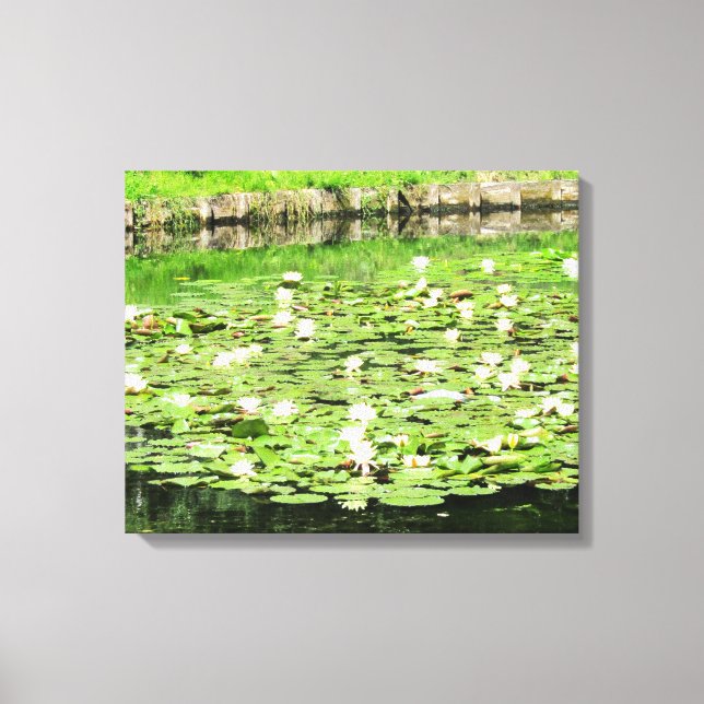 Lienzo Tiergarten Water Lillies (Anverso)