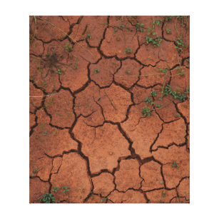 Lienzo tierra seca y agrietada