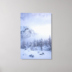 Lienzo Tierras maravillosas del invierno, niebla, bosque
