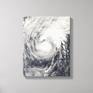 Lienzo Tifón delfín en el mar de Filipinas
