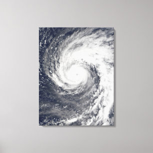 Lienzo Tifón estupendo Podul