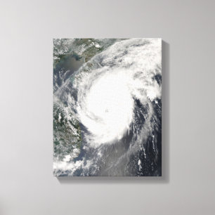 Lienzo Tifón Neoguri que se acerca a China 2